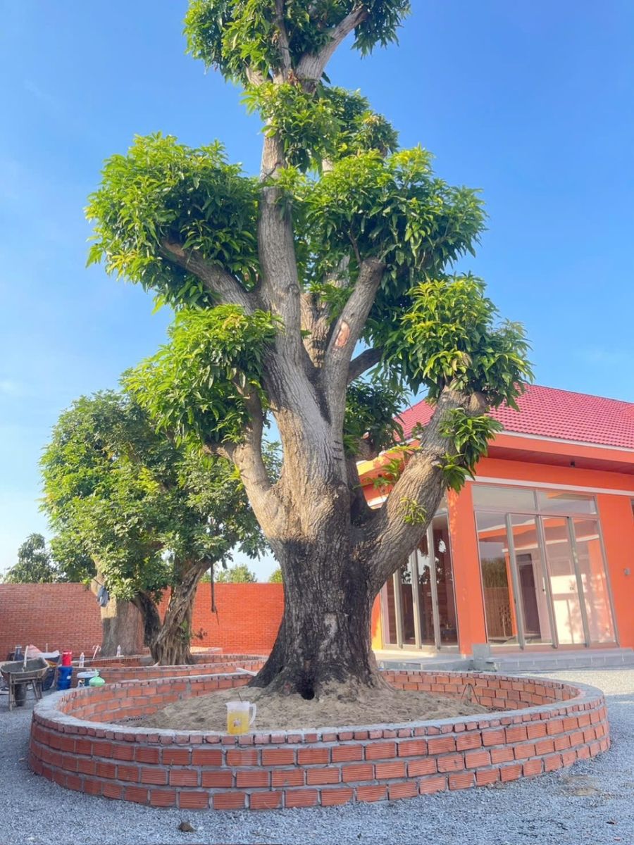 Thi Công Sơn Nước Trọn Gói